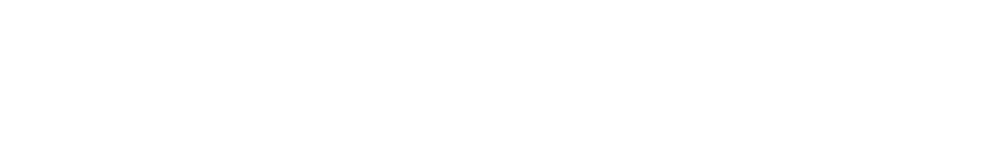 trustford logo white.png