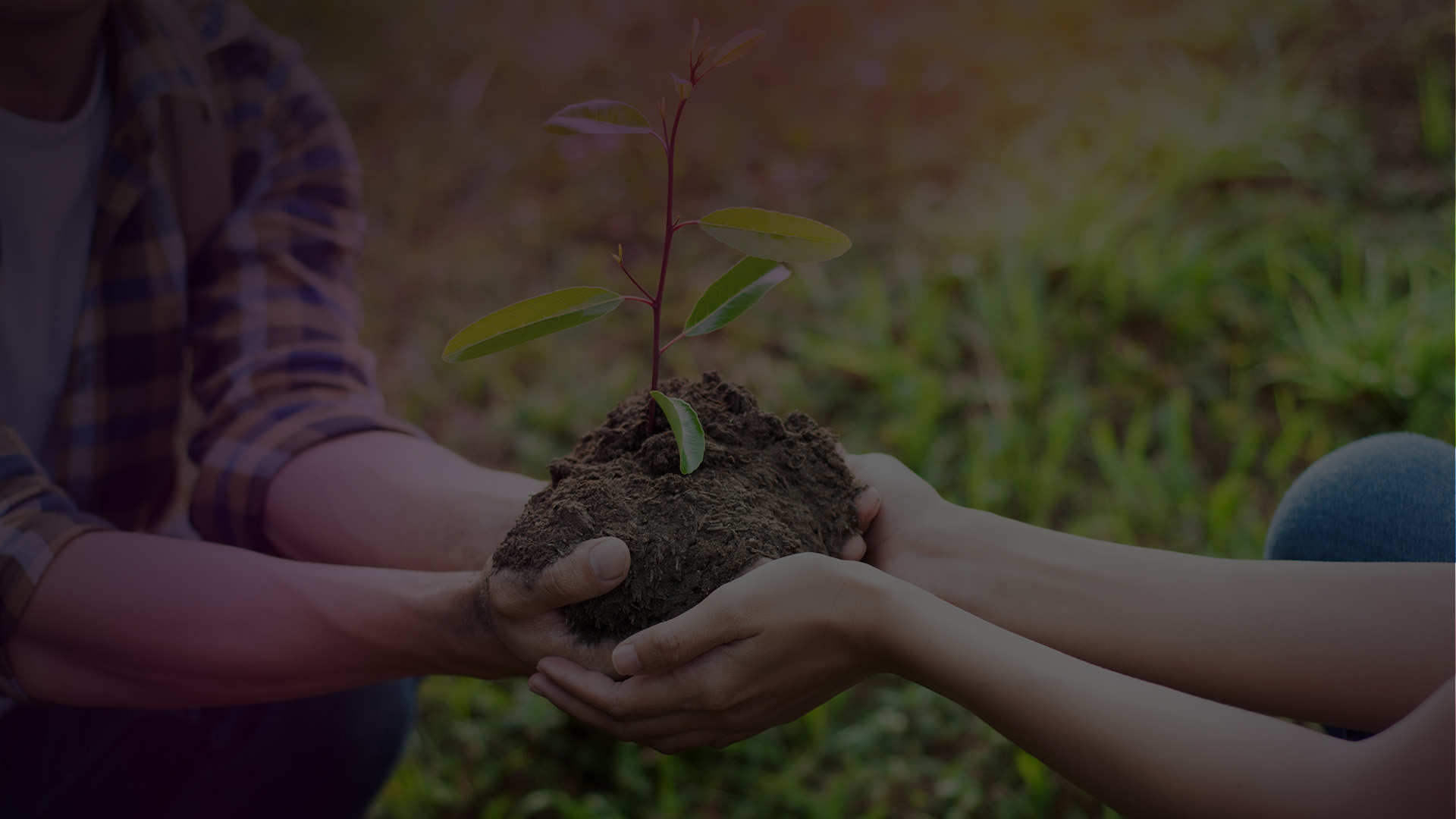 WEBINAR – From Campaigns to Fundraising: 6 Steps to Build Lasting Donor Loyalty